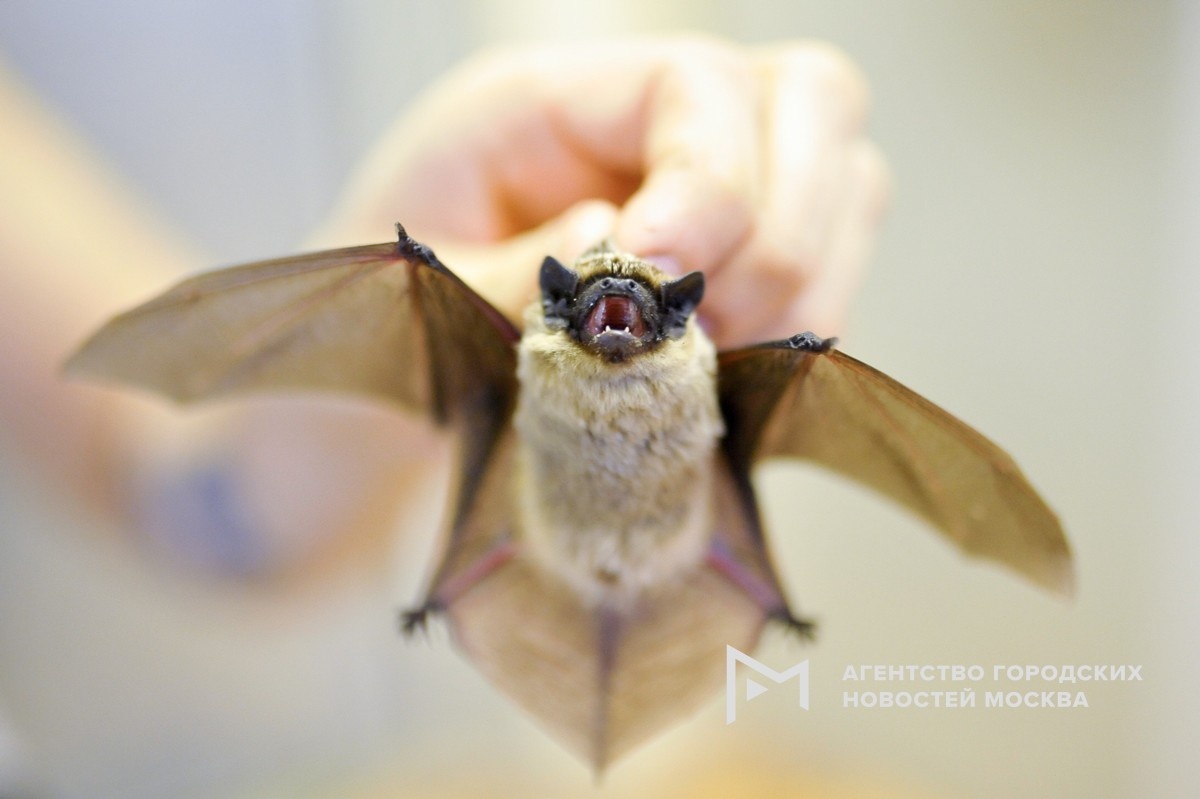 Фотограф: Александр Авилов