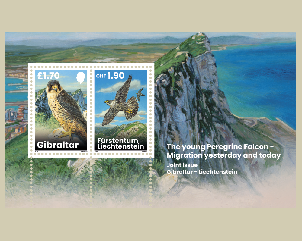 почтовый блок