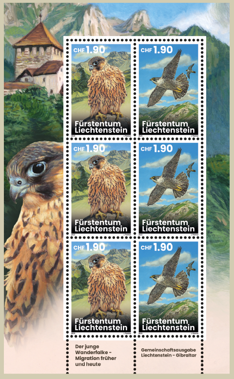 марочный лист