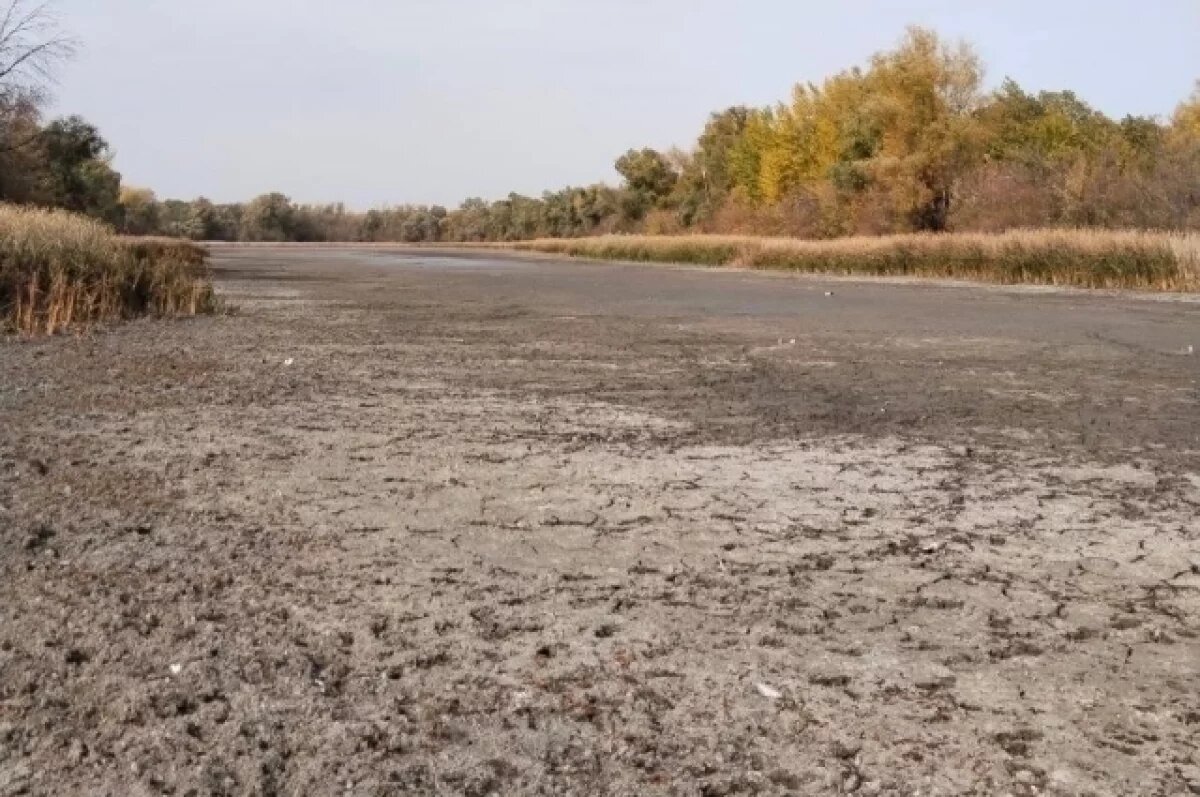    Обезвоженные ерики и озера засняли волгоградцы на острове Сарпинском