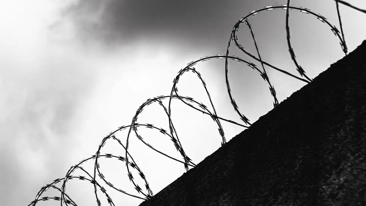    Колония. © ru.freepik.com