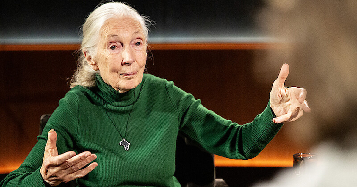    Netflix запустил новый интервью-проект со знаменитостями (фото 1)