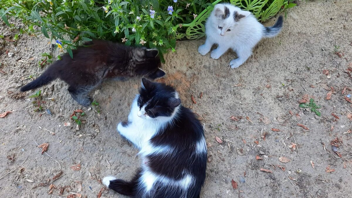 Фото автора