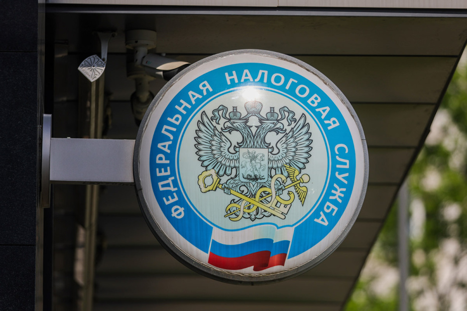    Наталья Шатохина/NEWS.ru