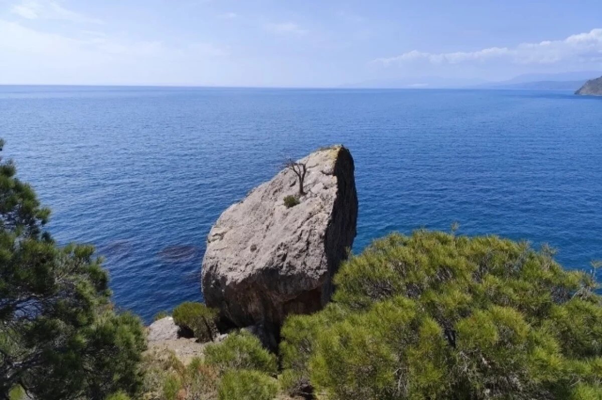    Дворцы и тропы.