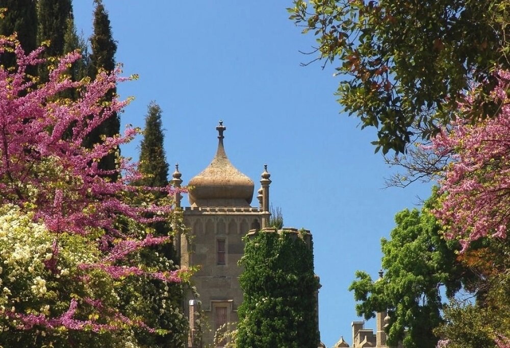    Фото: Алупкинский дворцово-парковый музей-заповедник