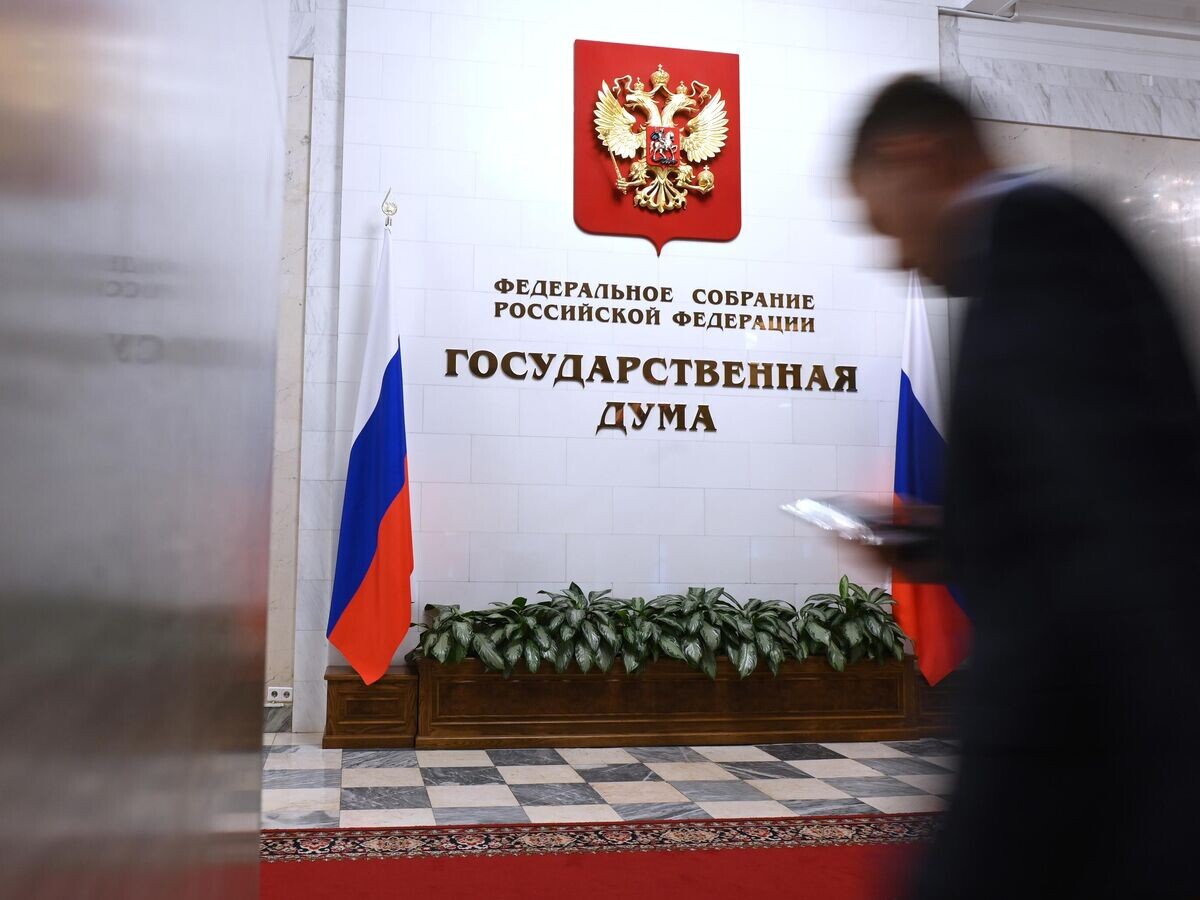    Мужчина в здании Государственной Думы РФ© РИА Новости / Максим Блинов