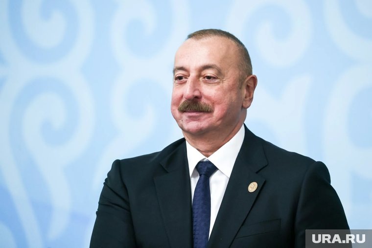    В своем выступлении Алиев отметил, что государства-участники активно сотрудничают