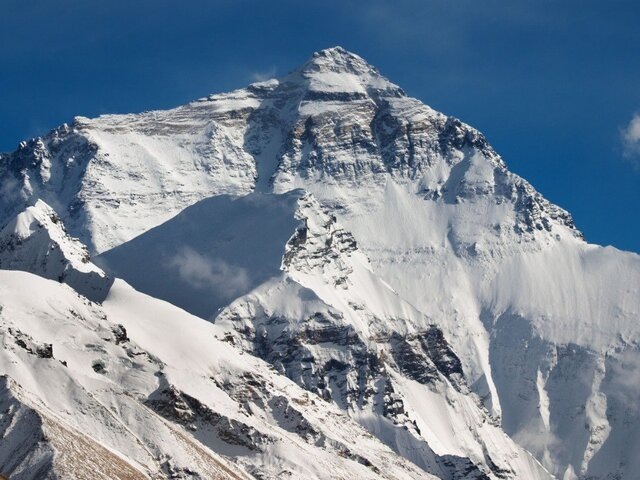    Фото: 123RF/muha