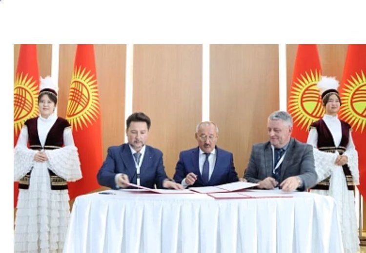    Фото: Минсельхоз РФ