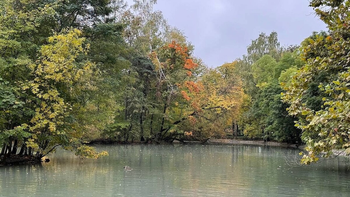    Фото: телеканал «Краснодар»