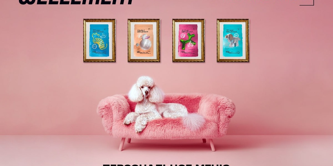 Почему собака или кот отказываются от сухого корма?