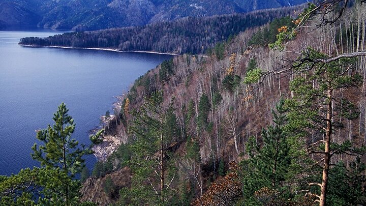 Ищут не там? Новая зацепка в поиске семьи Усольцевых. Альпинисты уже выдвинулись