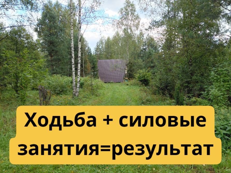 Утренняя ходьба с деревенскими красотами