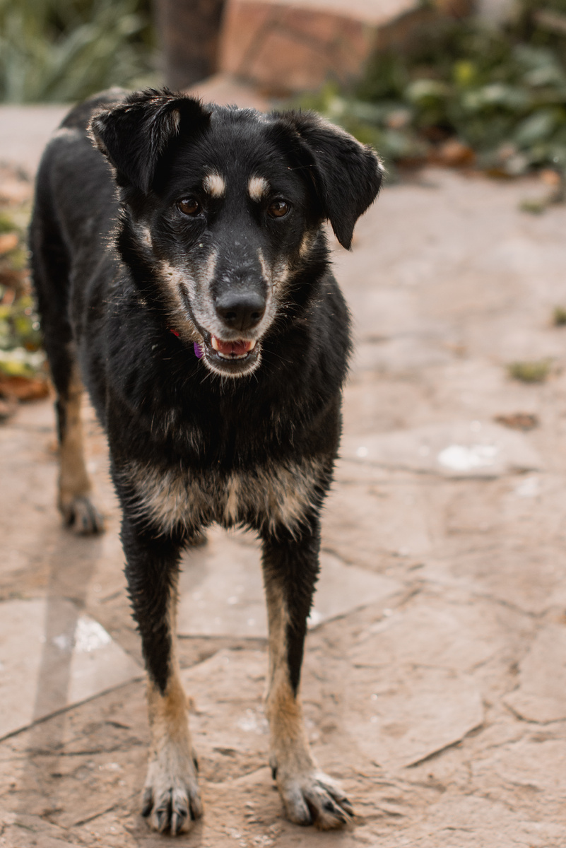 Наш замечательный Клепик)