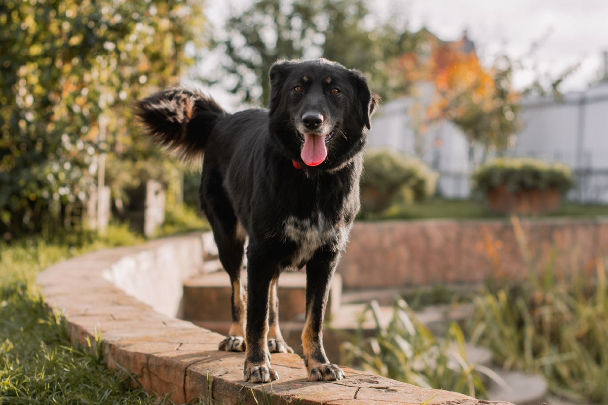 Маська: какой же хорошенькой она выросла!!!