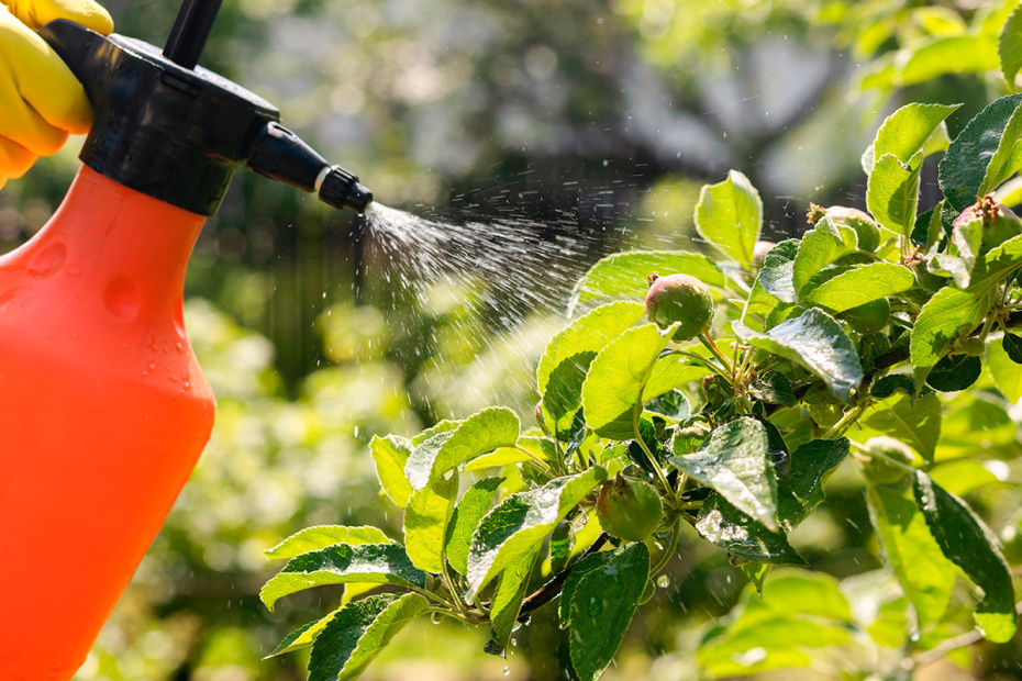    Shutterstock/FOTODOM