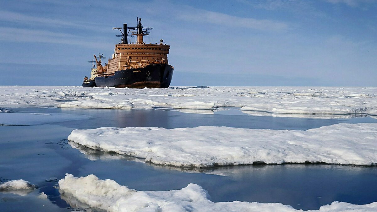    Фото: Roman Denisov/globallookpress.com