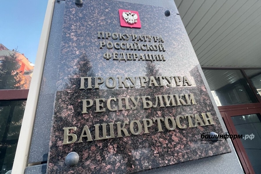    Фото: Ксения Калинина, источник: bashinform.ru