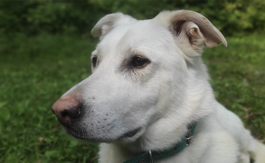 Фото: Юрий Кибиров
