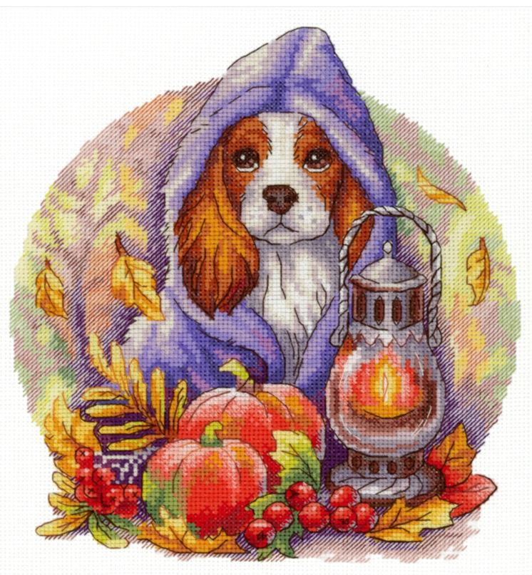 Изображение из свободного доступа сети интернет