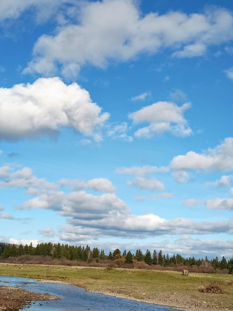 А облака плывут куда-то...  