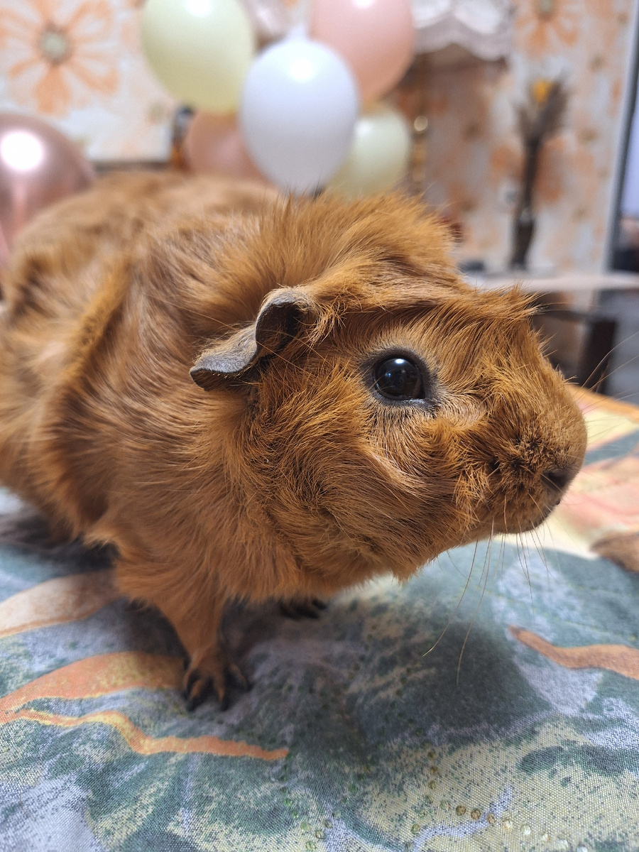 фото из личного архива.