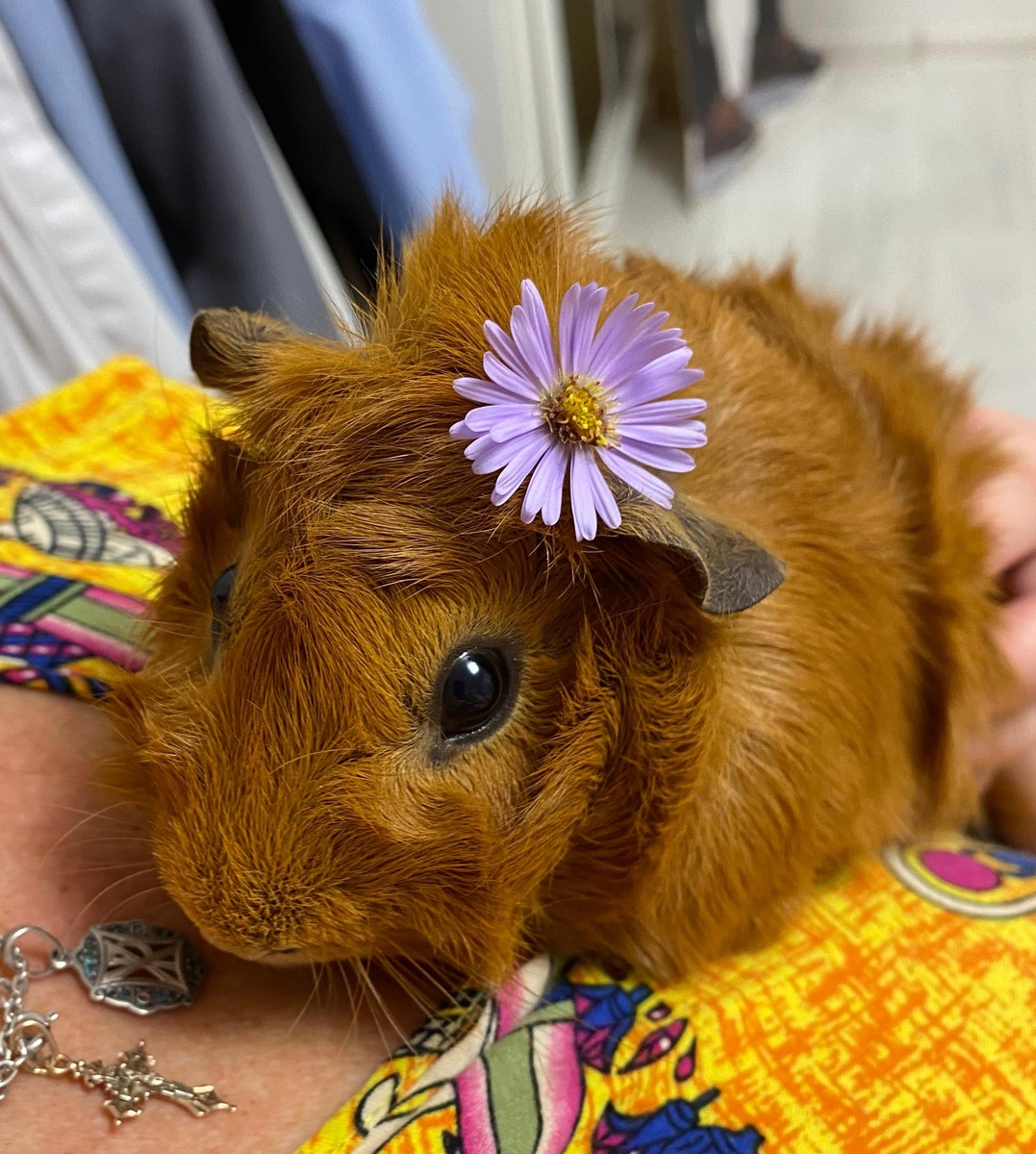 фото из личного архива.