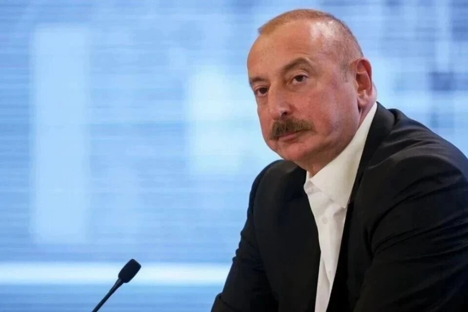    Алиев предложил провести совместные учения Организации тюркских государств GLOBAL LOOK PRESS
