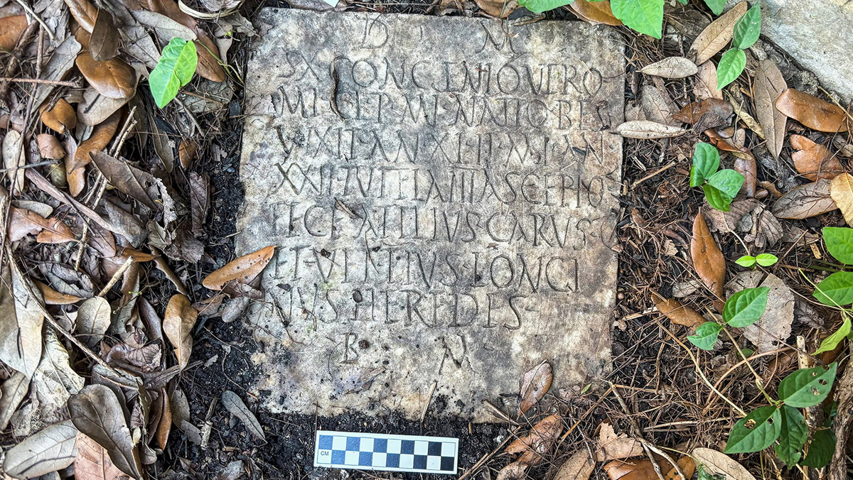   D Ryan Gray and Preservation Resource Center of New Orleans