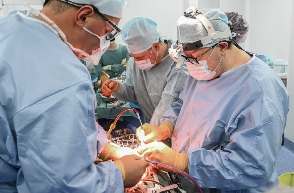 Фото: РИА Новости/Илья Питалев