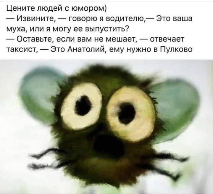 Яндекс картинки