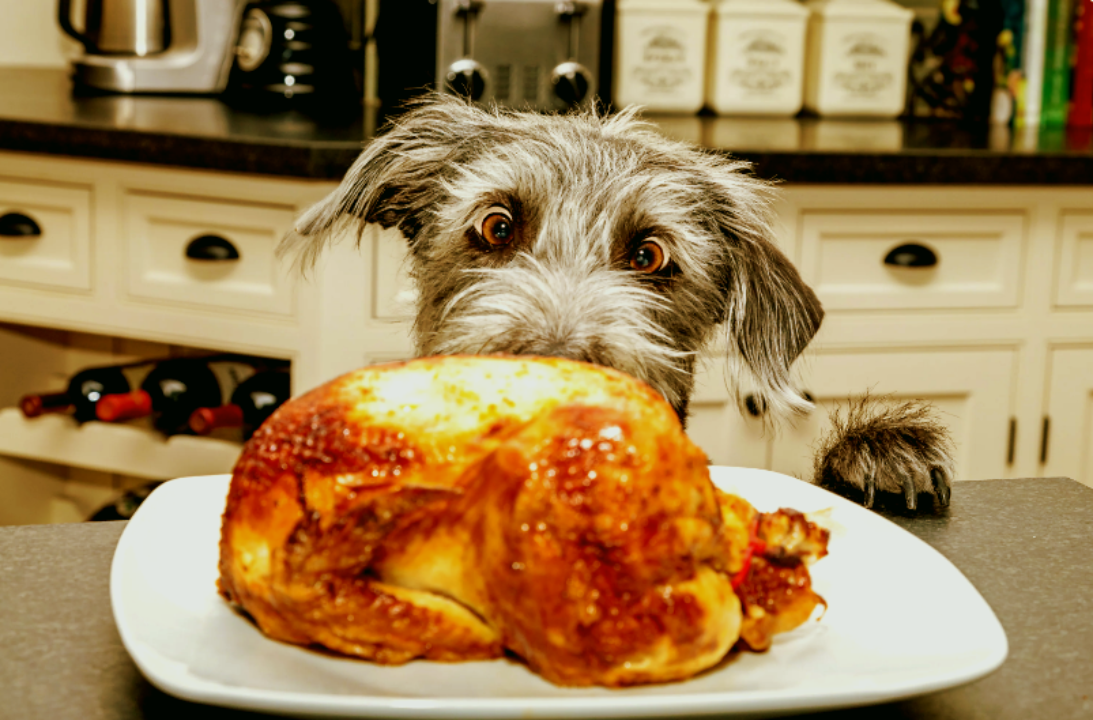 Фото: specialist45.ru