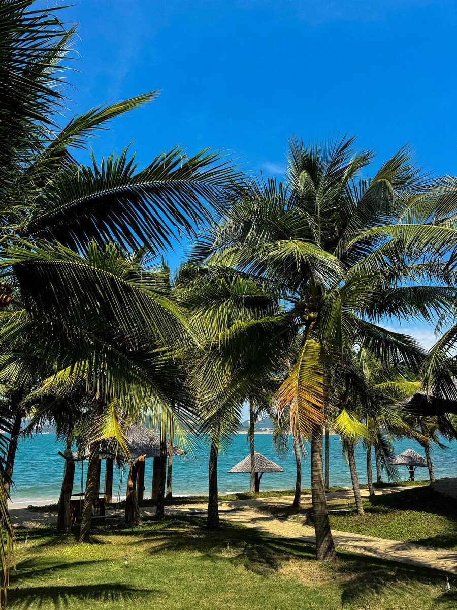 Вьетнам. Фото из интернета