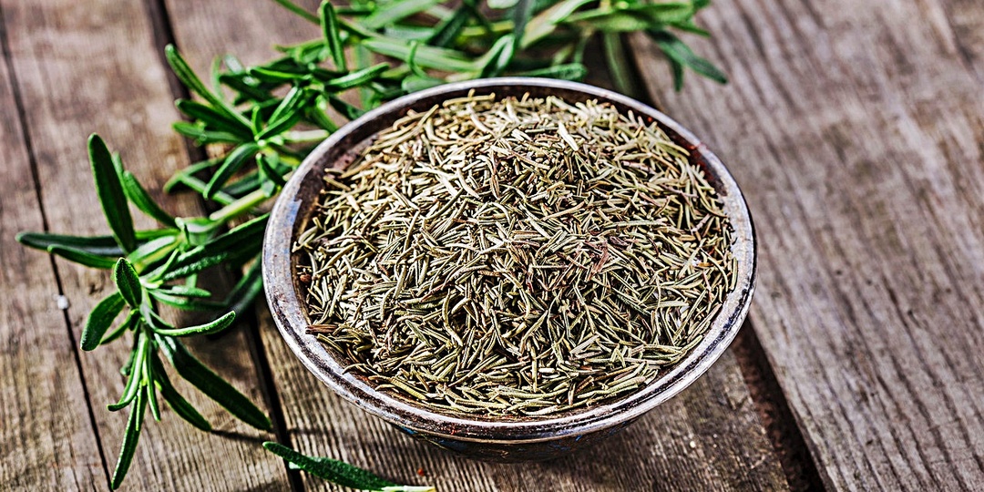 Розмарин — не просто ароматная приправа: как эта средиземноморская трава укрепляет память, защищает сердце и даже продлевает молодость