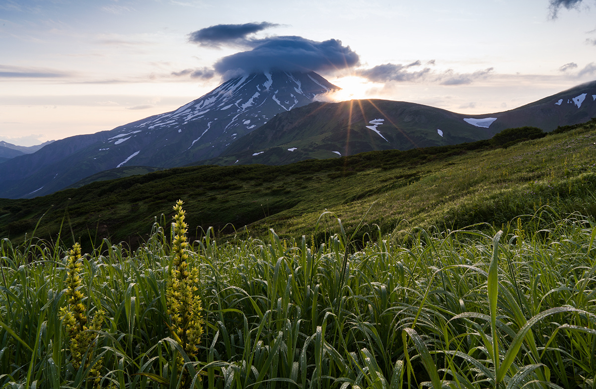Фото Артема Безотечество