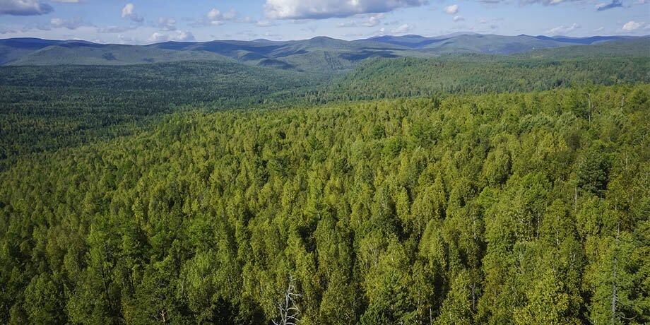    Фото: 123RF/pavelvero