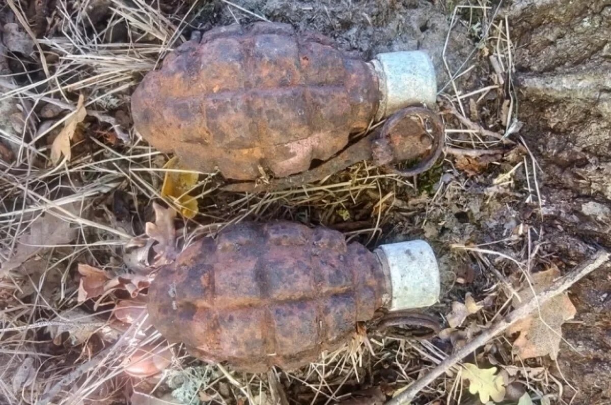    На Кубани уничтожили польские гранаты времен ВОВ