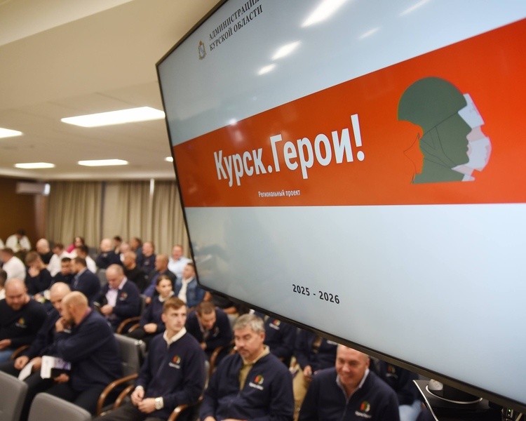     Александр Хинштейн встретился с участниками регионального проекта «Курск. Герои!»