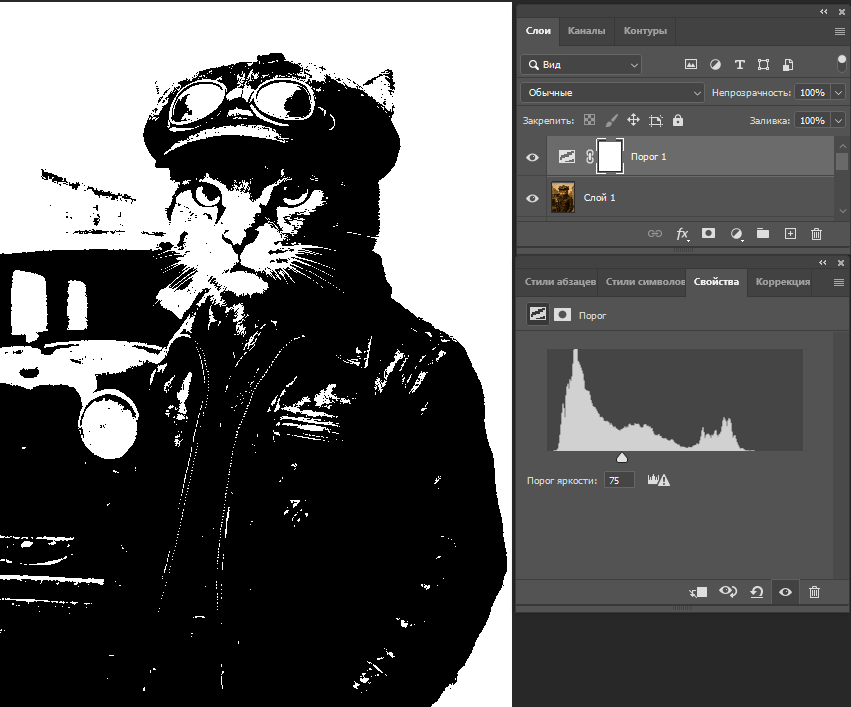 Данное изображение демонстрирует применение корректирующего слоя «Порог» (Threshold).