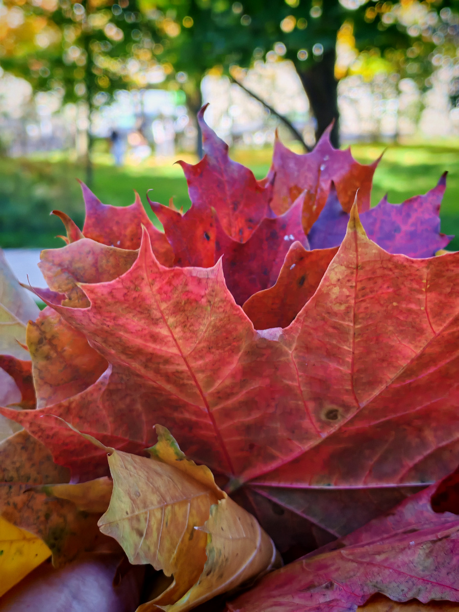 Мои третьеклассники подарили букет))) 