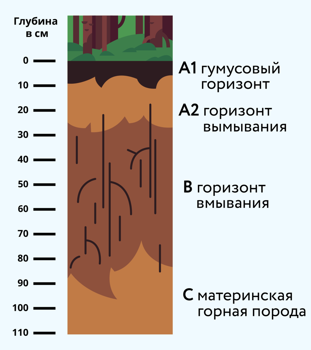 Схема почвенных горизонтов