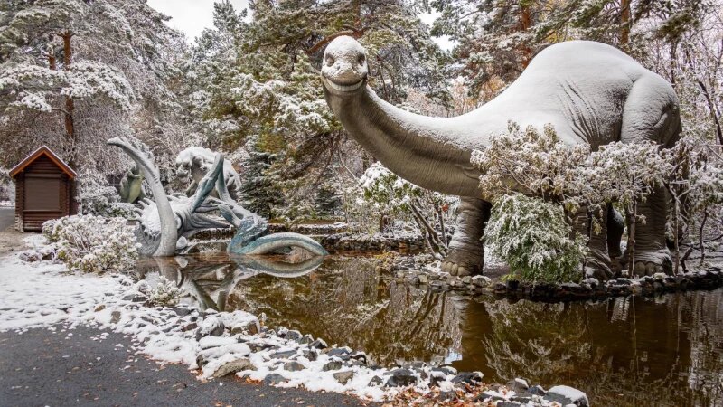     Зимняя сказка в Новосибирском зоопарке Телеграм-канал Новосибирского зоопарка