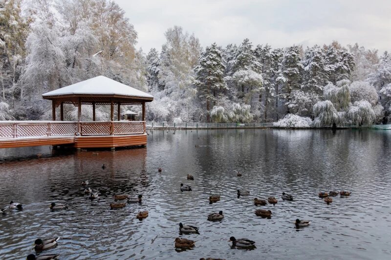 Листайте вправо, чтобы увидеть больше изображений
