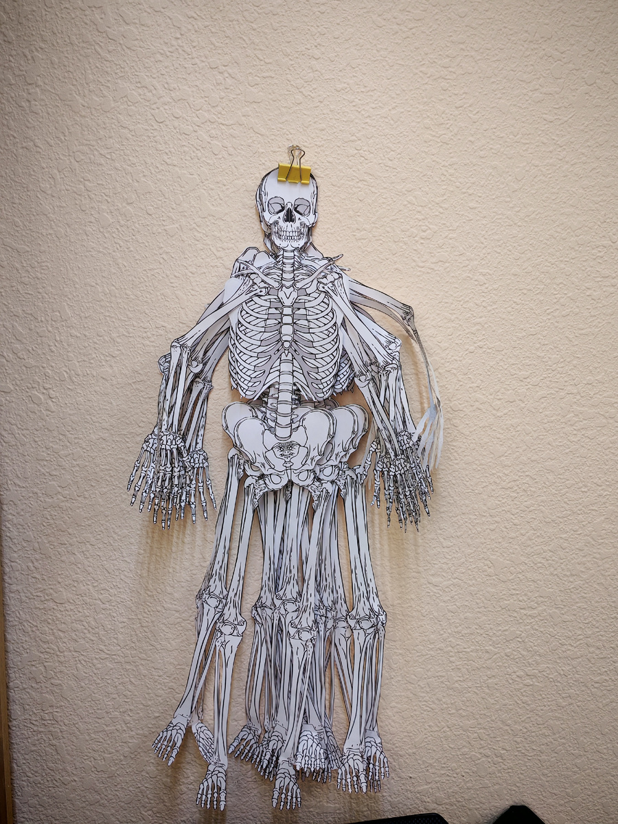 Вот они, голубчики. Потратили целый урок на его создание. Дети заберут его домой.