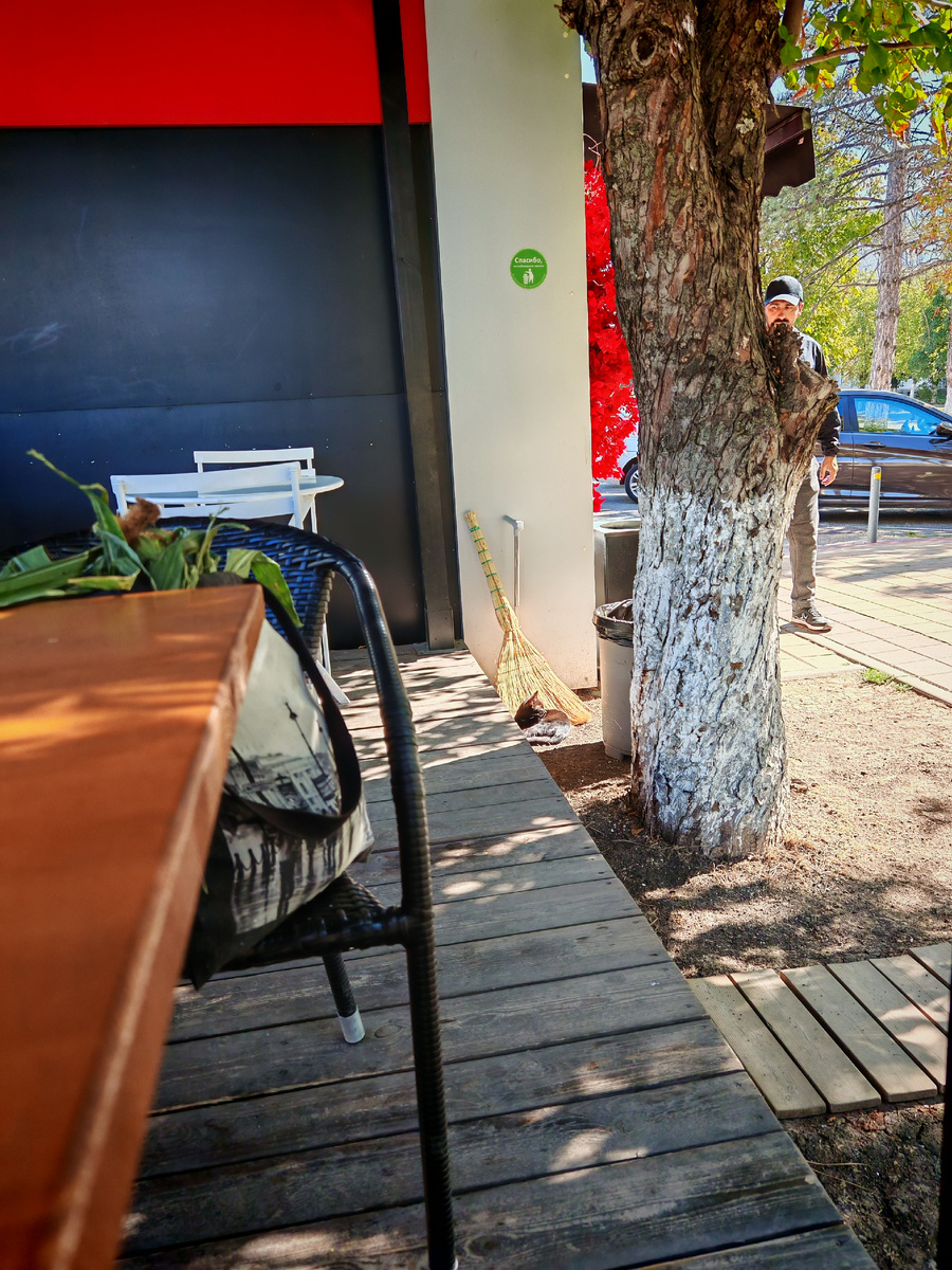 Найди котика.  Если найдете, ИрТольне не сообщайте!  Кстати,  отметте как гротескно выглядит мой шоппер с Невским и напиханной туда кукурузой😁