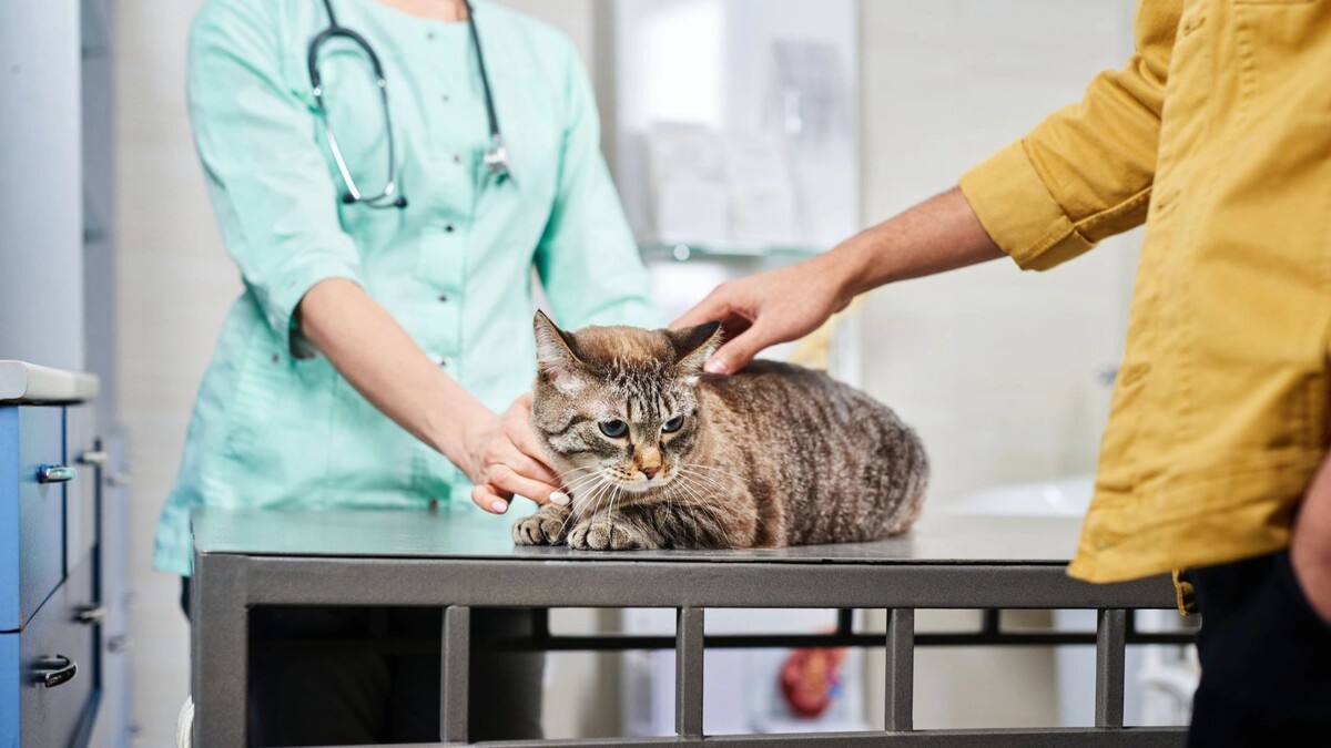    Фото: Sata Production/Shutterstock/Fotodom