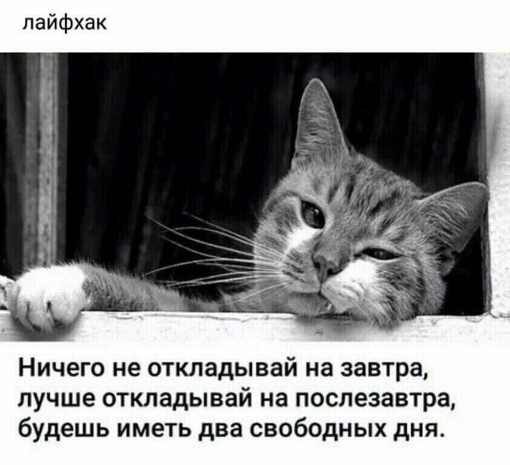 источник Яндекс-картинки