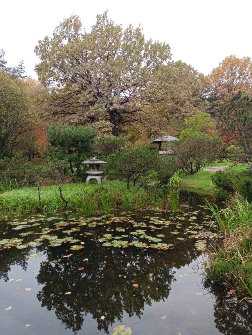 Осень. Японский сад. Каменный фонарь юкими-торо — «фонарь любования снегом».