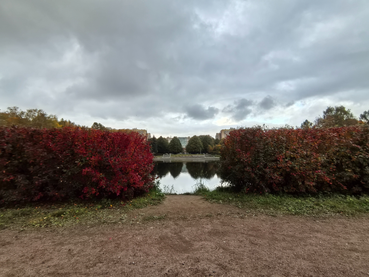 Осени краски🍁